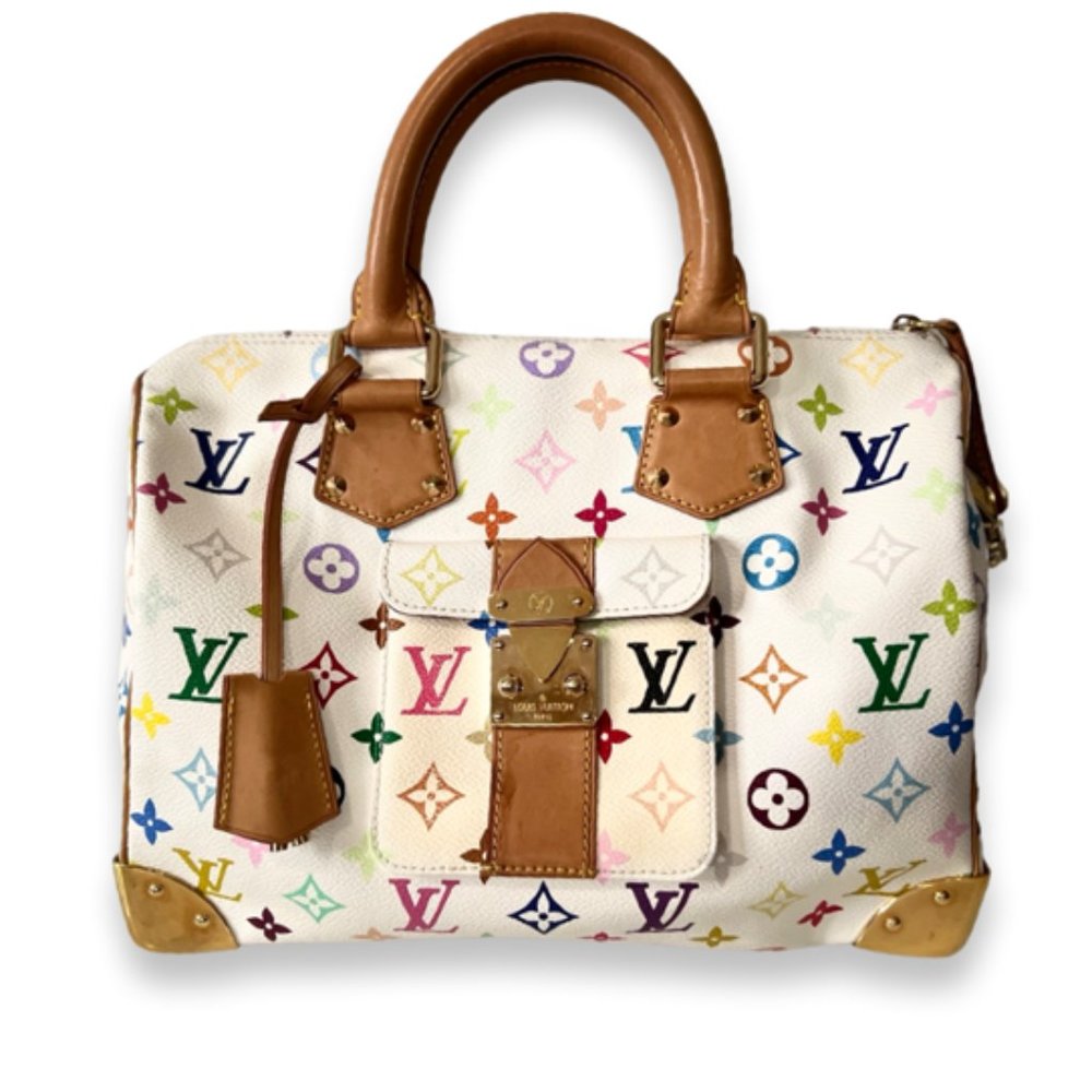 Louis Vuitton Speedy 30 Multicolored Satchel